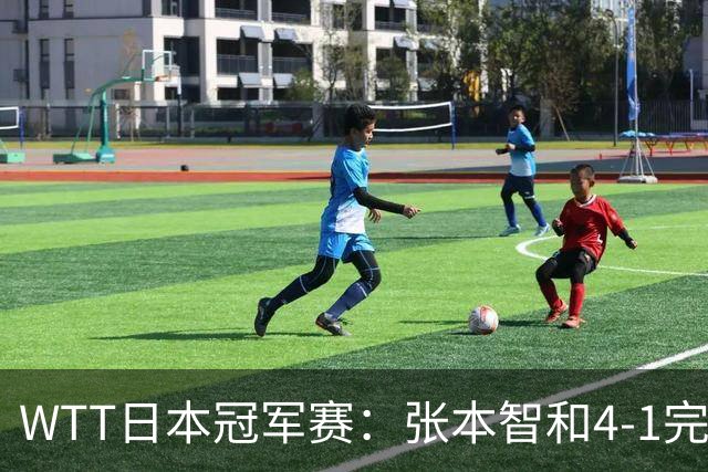 WTT日本冠军赛：张本智和4-1完胜韩乒名宿之子，兄妹主场连夺2冠